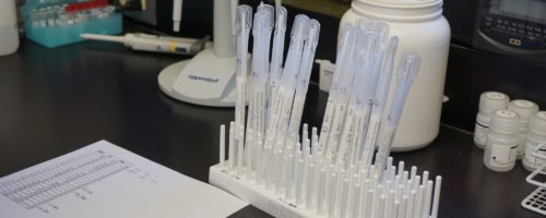 Lab photo 12