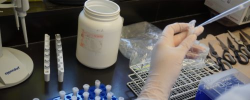 Lab photo 6