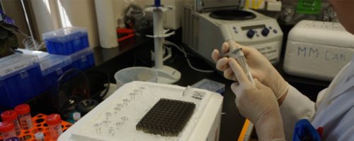 Lab photo 9